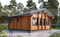 Проект дома Онега